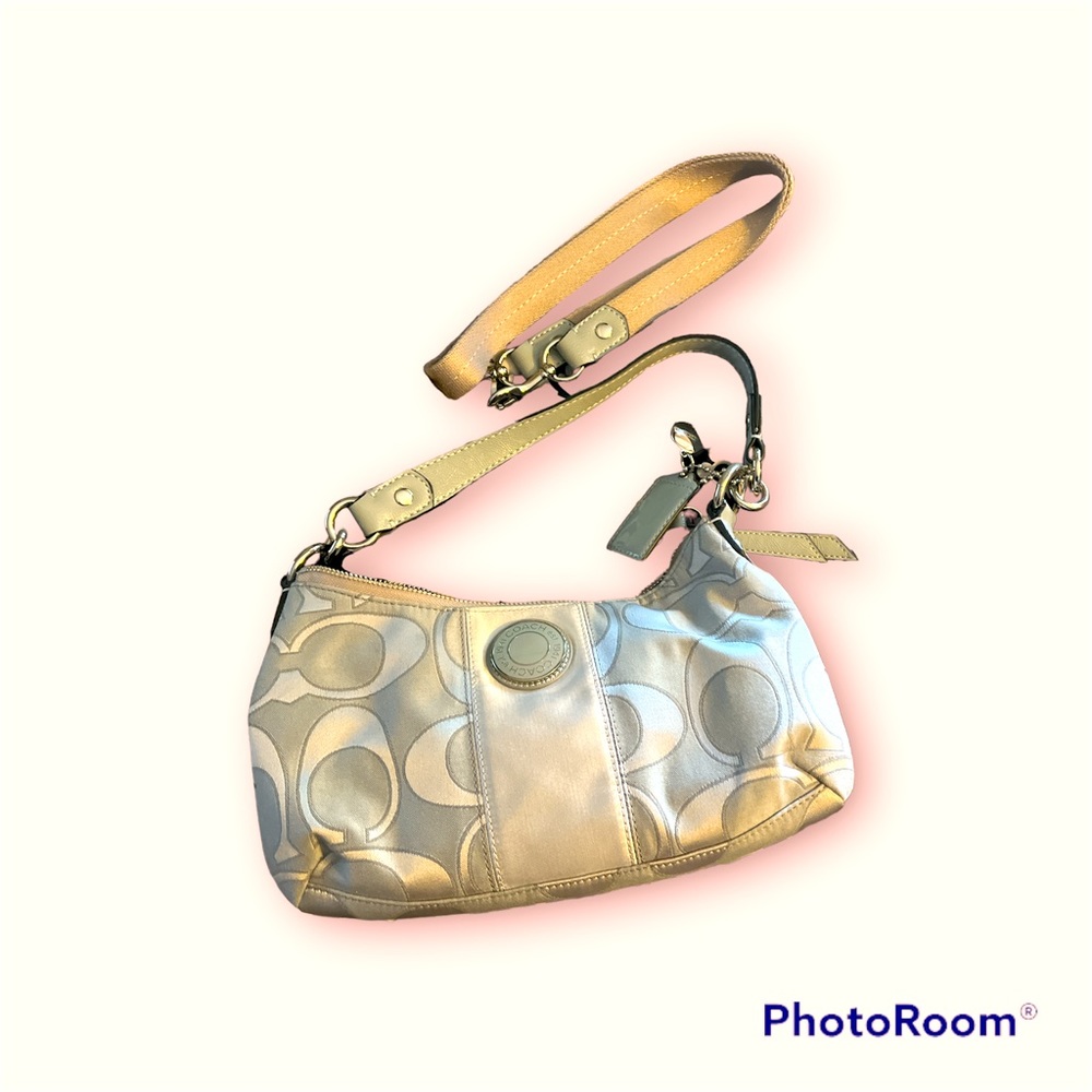 Silver Coach Bag